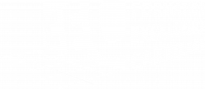 logo blanc formation excellence carrelage